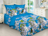 ������� ���������� ����� �� ���� �������� ����� (4699- 3032 )