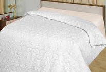 ������� ������������ �� ������� ������� �����