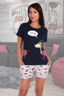 ������ 4053