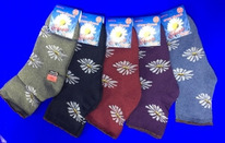 ����� ����� ������� ������ ����� �� ������ �������� �������