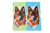 ��������� �������� ���� (2 ��)