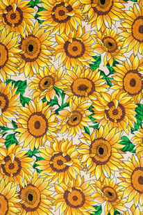 ����� ��������� ���� ����� ���������� (2 ��.)