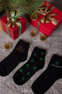 ����� ���� �������