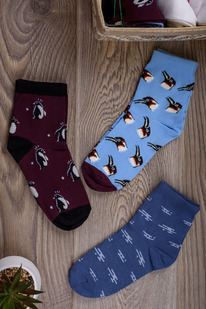 ����� ����� �������