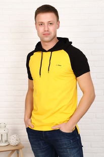 �������� 16533