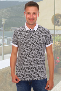 �������� 17509