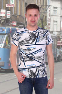 �������� 11039