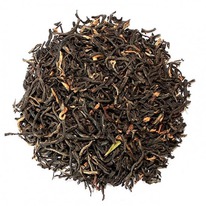 ��� ������ ����� Gold Tips ������� ����� 100 �