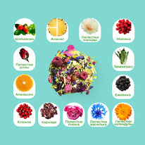 ��� ��������� ������ �� ����