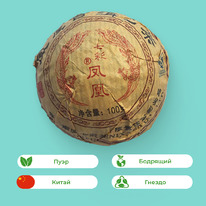 ���� ��, ������ 100�