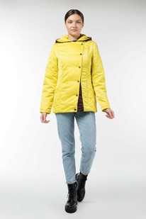 ������ ������������ University (�������� 150)