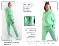 �������� WH1A2-G2 ��������� ������� BROSTEM