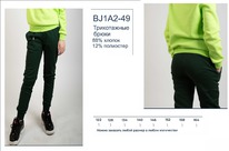  BJ1A2-49     BROSTEM