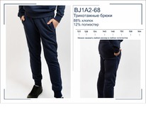  BJ1A2-68     BROSTEM