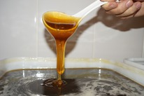 ��� � ������ �� ����� 2025 ���