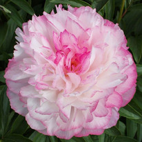 ���� ������, 2/3 n