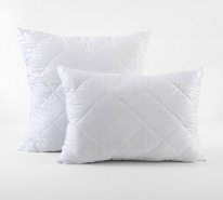 ������� ����������� / ����������