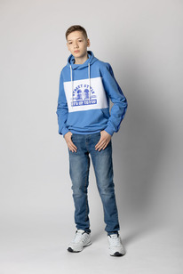 ���� �-1101: �����