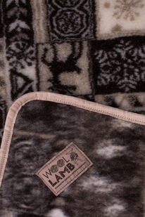 ���� ������� ������� 