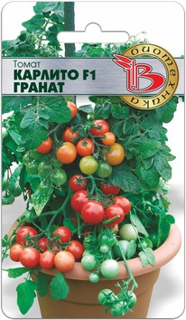 ����� ������� F1 ������