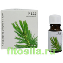 ���� ����� 10 ��, 