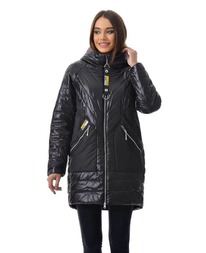 ������ RLR bm00133