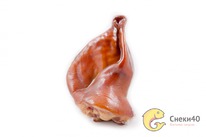 ��� ����� ������-�������� ������� (�/�) 