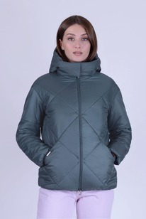 ������ ����