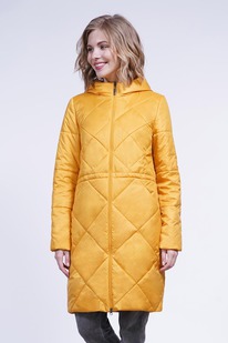 ���������� ����