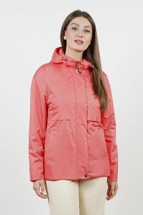 ������ ����