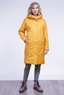 ������ ����