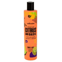 CAFE MIMI Free Of ���� ��� ���� ������ � �������