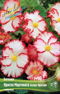 ������� ������ ��������� �����-�������, 5/6