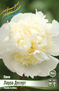 ���� ����� ������, 2/3n