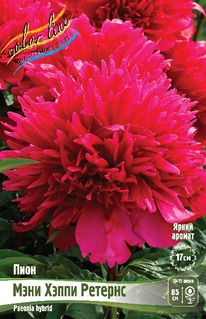 ���� ���� ����� �������