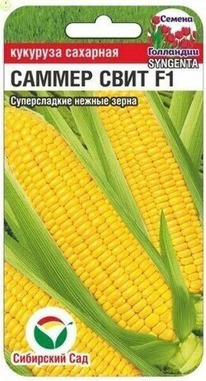 �������� ������ ���� F1