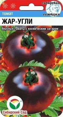 ����� ������ ����