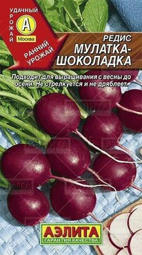 ����� �������-���������