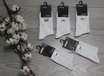 ����� ����� ������� ����� (10���)