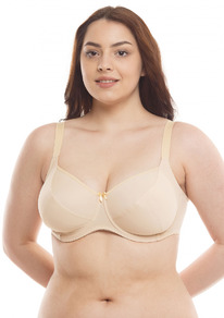 2217 �����������