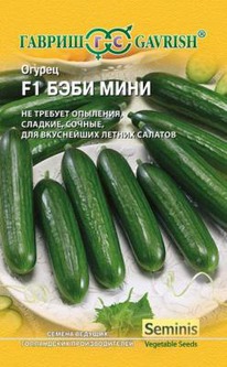���� ���� F1 ������ (�)