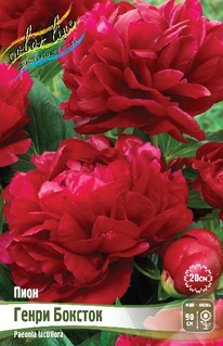 ���� ����� �������, 2/3 n