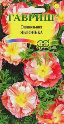 �������� ��������� 30-35�� ����� ���������� �����