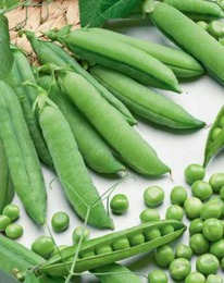 ������ 301 ����� �������