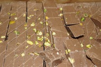 ����� ������������ �������������� 500 �