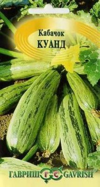 ����� �������