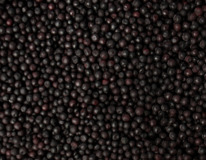 ������� �����������������