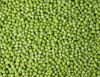 ������� ������ �����������������