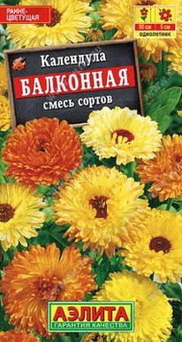 ���������,����� ������� ���������