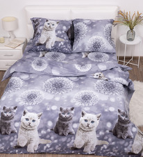 ������� ���������� ����� �� ���� ������� - �����